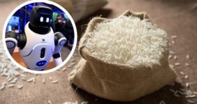 استفاده از برنج در ساخت روباتها و تجهیزات مقاوم در برابر ضربه استفاده از برنج در ساخت روباتها و تجهیزات مقاوم در برابر ضربه
