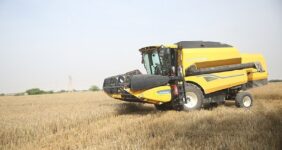 قیمت گندم 5نرخی شد قیمت گندم 5نرخی شد