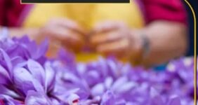 افشای آمار عجیب صادرات زعفران ایرانی توسط افغانستان افشای آمار عجیب صادرات زعفران ایرانی توسط افغانستان