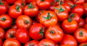 بازار صادراتی جان گرفت / دستور تازه گمرک برای خروج آزادانه سه کالای حساس بازار صادراتی جان گرفت / دستور تازه گمرک برای خروج آزادانه سه کالای حساس