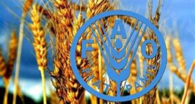 بدون تنوع زیستی، تولید غذا با خطر جدی مواجه است بدون تنوع زیستی، تولید غذا با خطر جدی مواجه است