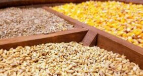 جزئیات تازه از واردات نهادههای دامی / گردش مالی سالانه به ۸ میلیارد دلار رسید جزئیات تازه از واردات نهادههای دامی / گردش مالی سالانه به ۸ میلیارد دلار رسید