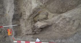 کشف مقبره مجلل سوارکار نخبه مجارستانی با اشیا طلایی کشف مقبره مجلل سوارکار نخبه مجارستانی با اشیا طلایی