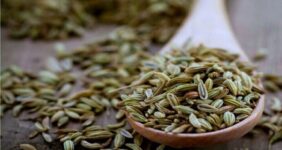 آیا «رازیانه» باعث افزایش شیرمادر می شود آیا «رازیانه» باعث افزایش شیرمادر می شود