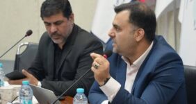 علیزاده: رگولاتوری سلامت غیر قابل واگذاری است علیزاده: رگولاتوری سلامت غیر قابل واگذاری است