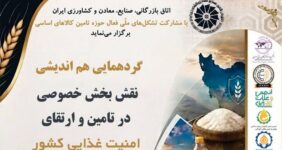 هشدار محترمانه درباره فروپاشی زنجیره تأمین کالاهای اساسی| واردات برنج به نصف رسید هشدار محترمانه درباره فروپاشی زنجیره تأمین کالاهای اساسی| واردات برنج به نصف رسید