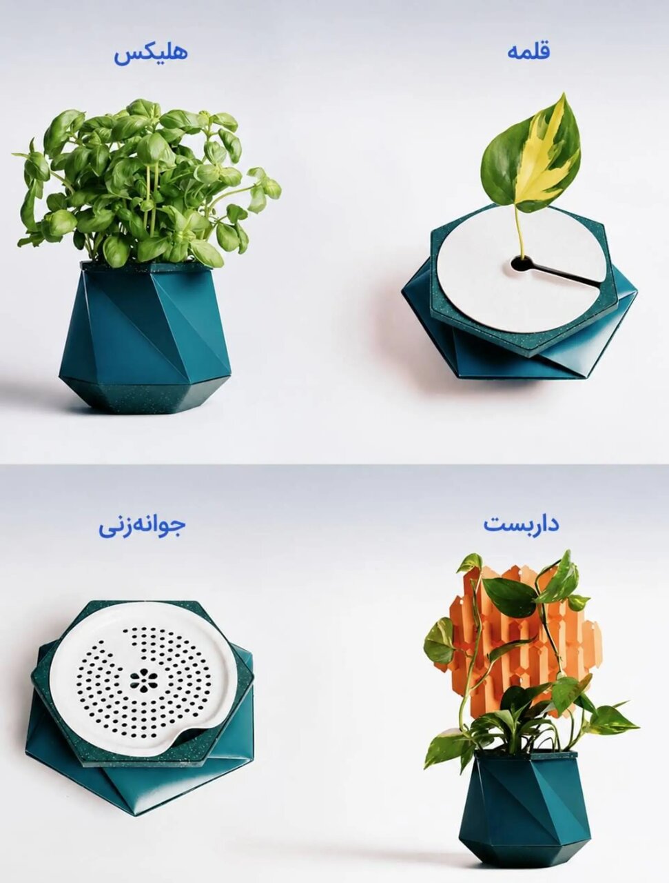 گلدانی که همراه با گیاه رشد میکند / عکس گلدانی که همراه با گیاه رشد میکند / عکس