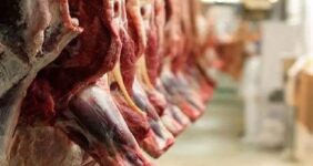آغاز ثبت سفارش واردات گوشت گرم و منجمد از فردا آغاز ثبت سفارش واردات گوشت گرم و منجمد از فردا