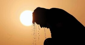 تلفات بیسابقه گرما در آلمان تلفات بیسابقه گرما در آلمان