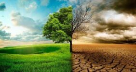 زنگ خطر النینو برای اقتصاد جهان؛ شرکتهای بزرگ در آمادهباش زنگ خطر النینو برای اقتصاد جهان؛ شرکتهای بزرگ در آمادهباش