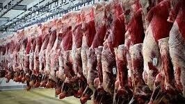 کاهش 6 درصدی تولید گوشت قرمز در تیر 1405 کاهش 6 درصدی تولید گوشت قرمز در تیر 1405